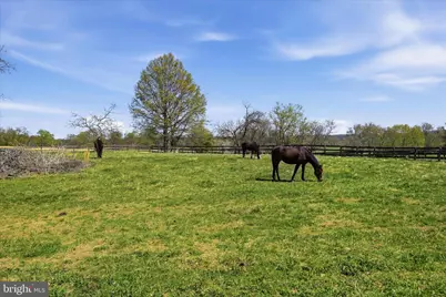 2517 Five Points Road, Marshall, VA 20115 - Photo 114