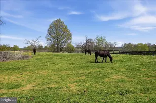 2517 5 Points Rd, Marshall, VA 20115 - Photo 114