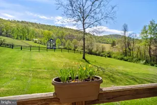 3459 Carrington Rd, Delaplane, VA 20144 - Photo 68