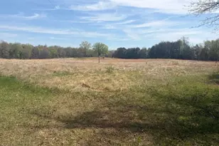 9547 James Madison Hwy, Warrenton, VA 20187 - Photo 24