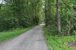 12350 Roselawn Ln, Midland, VA 22728 - Photo 24