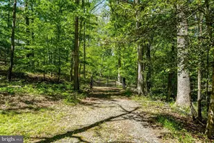 2429 Cromwell Rd, Catlett, VA 20119 - Photo 14