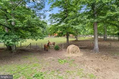5099 Courtneys Corner Road, Sumerduck, VA 22742 - Photo 50