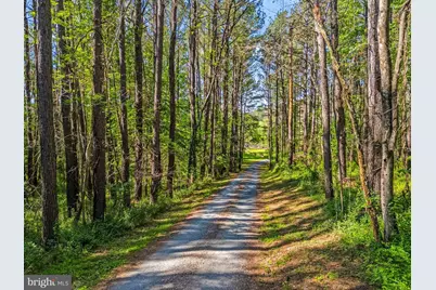 3079 Halfway Road, The Plains, VA 20198 - Photo 6