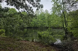 12655 Bristersburg Rd, Midland, VA 22728 - Photo 6