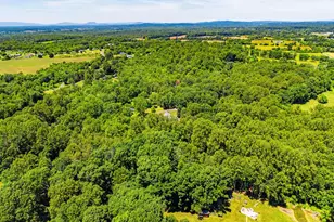 10409 Lees Mill Rd, Warrenton, VA 20186 - Photo 54