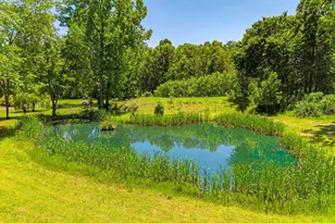 10409 Lees Mill Rd, Warrenton, VA 20186 - Photo 50