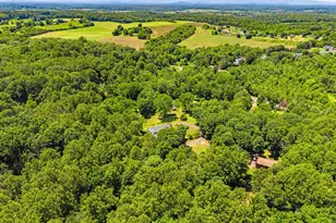 10409 Lees Mill Rd, Warrenton, VA 20186 - Photo 52