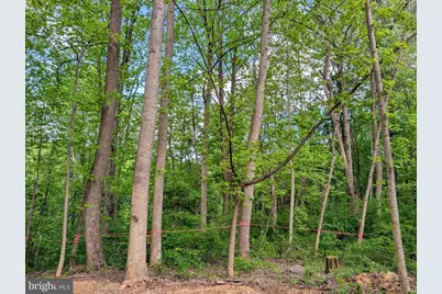 3964 Hidden Valley Lane, Linden, VA 22642 - Photo 16