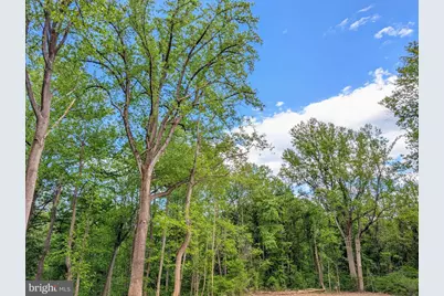 3964 Hidden Valley Lane, Linden, VA 22642 - Photo 52