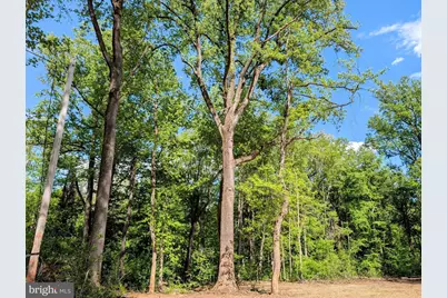 3964 Hidden Valley Lane, Linden, VA 22642 - Photo 22