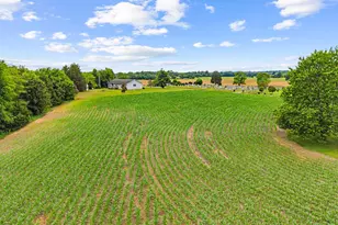 11889 Cemetery Rd, Remington, VA 22734 - Photo 72