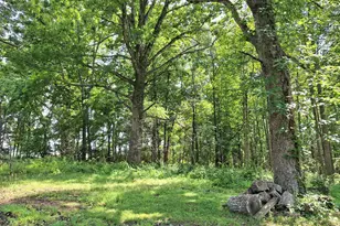 9499 Old Waterloo Rd, Warrenton, VA 20186 - Photo 14