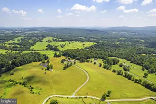 10590 Mountain Shadow Ln, Marshall, VA 20115 - Photo 98