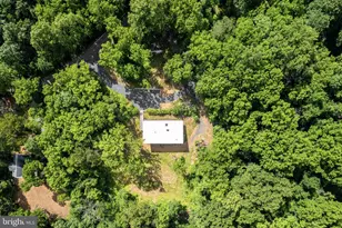 4791 Observatory, Linden, VA 22642 - Photo 66