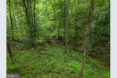 9914 Crest Court, Marshall, VA 20115 - Photo 108