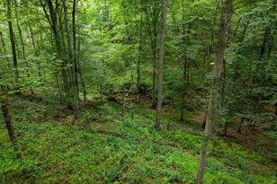 9914 Crest Ct, Marshall, VA 20115 - Photo 108