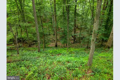 9914 Crest Court, Marshall, VA 20115 - Photo 108