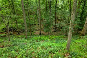 9914 Crest Ct, Marshall, VA 20115 - Photo 106