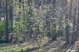 7237 Baldwin Ridge Rd, Warrenton, VA 20187 - Photo 14