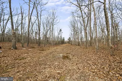7389 Leeds Manor Road, Marshall, VA 20115 - Photo 20