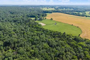 9551 Green Rd, Midland, VA 22728 - Photo 100