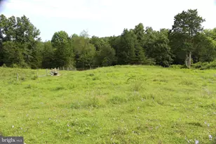 7787 Greenwich Rd, Catlett, VA 20119 - Photo 66