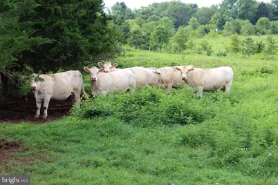 7787 Greenwich Road, Catlett, VA 20119 - Photo 70