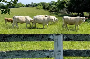 7787 Greenwich Rd, Catlett, VA 20119 - Photo 72