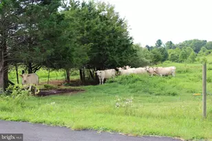 7787 Greenwich Rd, Catlett, VA 20119 - Photo 68