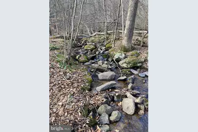 [Address not provided], Linden, VA 22642 - Photo 6