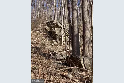[Address not provided], Linden, VA 22642 - Photo 4