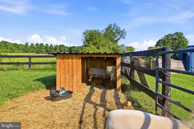 9411 Green Meadows Road, Warrenton, VA 20187 - Photo 84