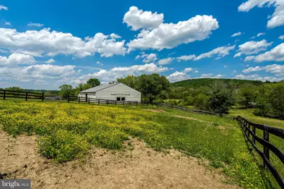 9253 Cliff Mills Road #HORSE FACILITY, Warrenton, VA 20186 - Photo 38