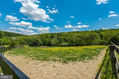 9253 Cliff Mills Road #HORSE FACILITY, Warrenton, VA 20186 - Photo 46