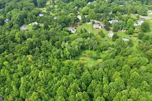 6304 Georgetown Rd, Broad Run, VA 20137 - Photo 80
