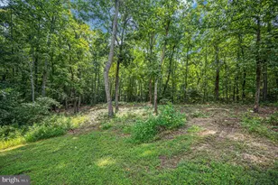 5099 Courtneys Corner Rd, Sumerduck, VA 22742 - Photo 42