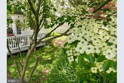 241 Breezewood Drive, Warrenton, VA 20186 - Photo 4