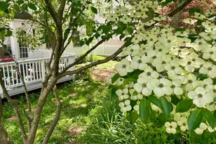 241 Breezewood Dr, Warrenton, VA 20186 - Photo 4