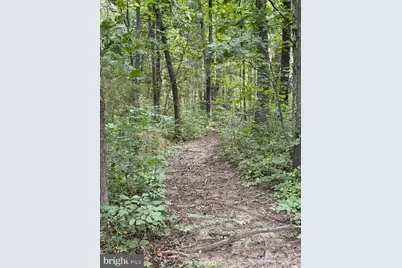 5414 Germantown Road, Midland, VA 22728 - Photo 28