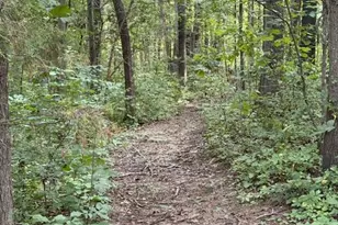 5414 Germantown Rd, Midland, VA 22728 - Photo 28