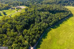 9565 Briar Ln, Delaplane, VA 20144 - Photo 38