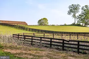 3830 Zulla Rd, The Plains, VA 20198 - Photo 70