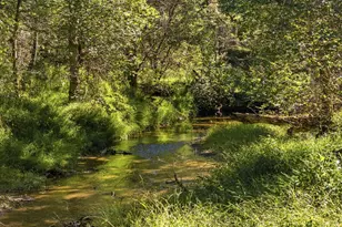 1663 Hatchers Mill Rd, Middleburg, VA 20117 - Photo 58