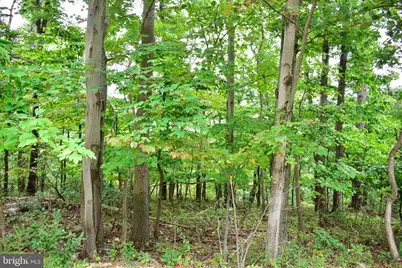 Lot 17 Fox Trail, Winchester, VA 22602 - Photo 1