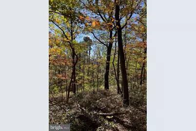 Lot 17 Fox Trail, Winchester, VA 22602 - Photo 2