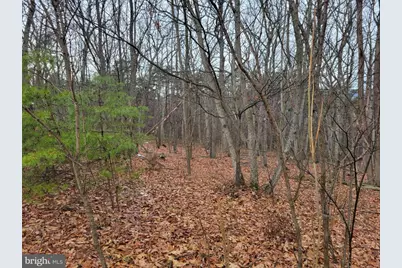 Lot 2 Timber Ridge Road N, Cross Junction, VA 22625 - Photo 8