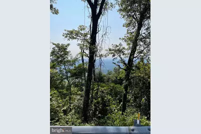 Lot 231 Timber Ridge, Winchester, VA 22602 - Photo 4