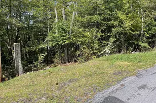 Lot 111 Cub Trail, Winchester, VA 22602 - Photo 1