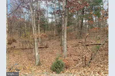 1116 Lakeview Drive, Cross Junction, VA 22625 - Photo 10